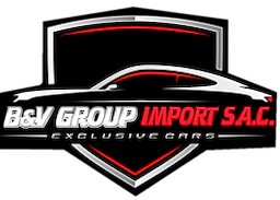 B&V Group Import Logo